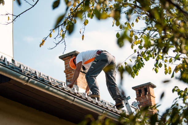 Best Roof Waterproofing Services  in West Milton, OH